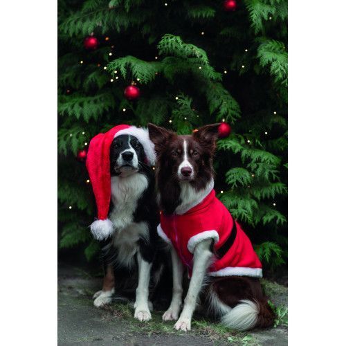 Попона Trixie для собак Різдвяна Санта червона поліестер М 62х45 см 925103_Christmas фото