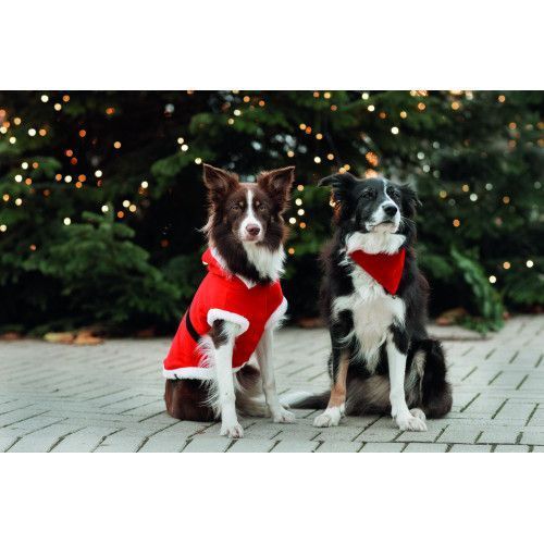 Попона Trixie для собак Різдвяна Санта червона поліестер М 62х45 см 925103_Christmas фото