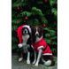 Попона Trixie для собак Різдвяна Санта червона поліестер М 62х45 см 925103_Christmas фото 4