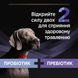 Пробиотик с пребиотиком PRO PLAN FortiFlora PLUS для взрослых собак и щенков для поддержания нормальной миклофлоры кишечника, 30x2 г 8445290504937 фото 4