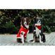 Попона Trixie для собак Різдвяна Санта червона поліестер М 62х45 см 925103_Christmas фото 3