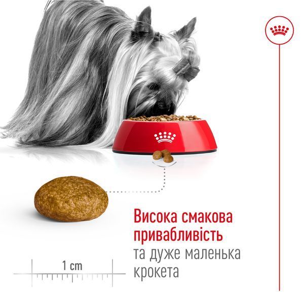Корм для дорослих собак ROYAL CANIN XSMALL ADULT 3.0 кг 10030300 фото