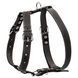 Шлея "CoLLaR" одинарна для середніх собак (ширина 25мм, А:49-68см, В:68-80см) чорний 06381 фото 2