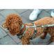 Шлея Trixie CityStyle H-harness для собак бавовна L&ndash;XL 75&ndash;120 см 25 мм світло-сіра 1969919 фото 2