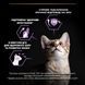 Сухий корм PRO PLAN Kitten 