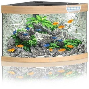 Аквариум Juwel угловой Trigon 190 LED, 99х60х70 см, 190 л 16850 фото
