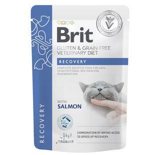 Корм вологий Brit GF VD Recovery для котів з лососем 85 г 101116_1 фото