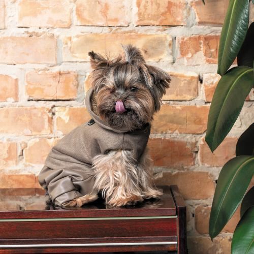 Костюм Pet Fashion PF Style для собак S PR242795 фото