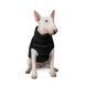 Жилет Pet Fashion Big Boss для собак чорний 5XL PR242395 фото 3
