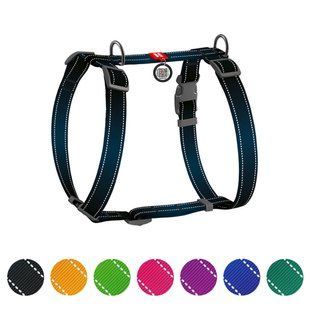 Шлей для собак анатомический H-образный WAUDOG Nylon Mono с QR-паспортом, светоотражающий, пластиковый фастекс, размер S, Ш 15 мм, A 30-40 см, B 30-50 см черный 52711 фото