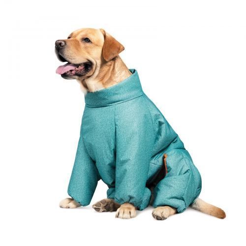 Комбинезон Pet Fashion Cold для собак бирюза L PR242535 фото