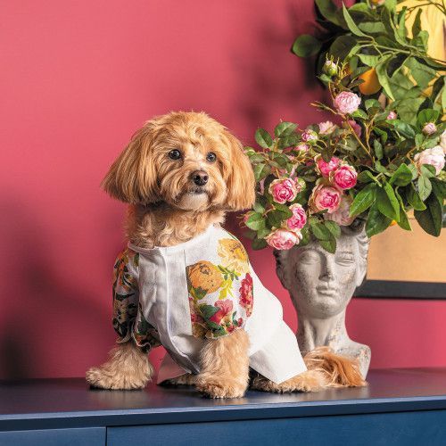 Сорочка Pet Fashion Соломія для собак дівчинка біла XS2 PR244041 фото
