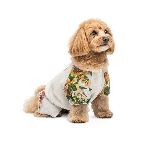 Сорочка Pet Fashion Соломія для собак дівчинка біла XS2 PR244041 фото