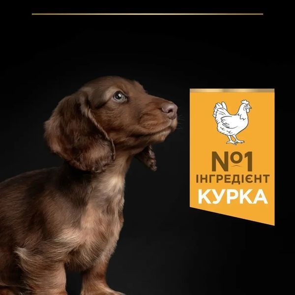 Сухий корм PRO PLAN Small & Mini Puppy 