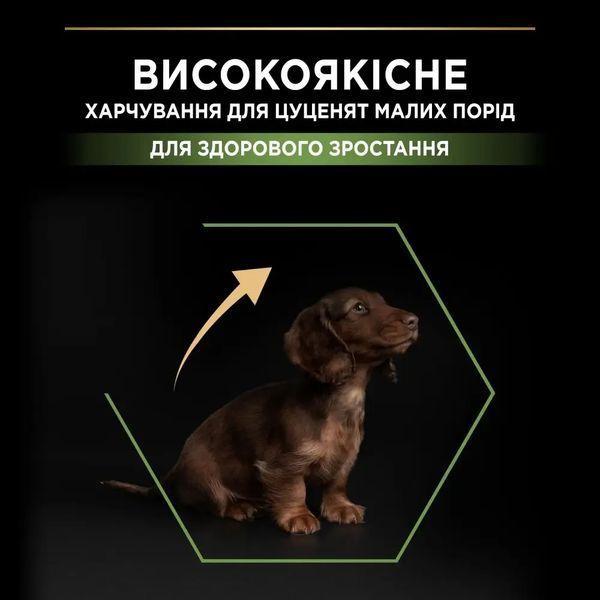 Сухий корм PRO PLAN Small & Mini Puppy 