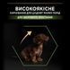 Сухий корм PRO PLAN Small & Mini Puppy 