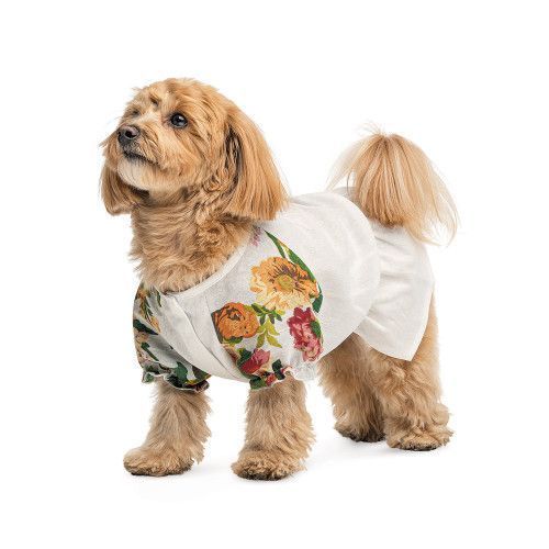 Рубашка Pet Fashion Соломия для собак белая девочка S PR244042 фото