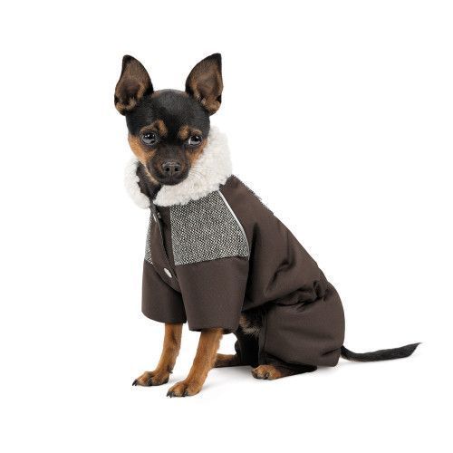 Костюм Pet Fashion Locky S для собак PR243785 фото