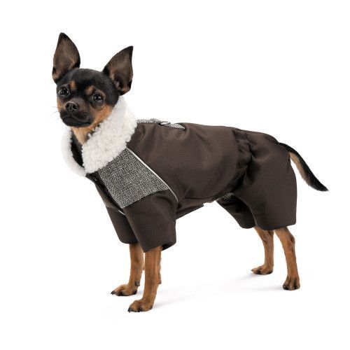 Костюм Pet Fashion Locky S для собак PR243785 фото