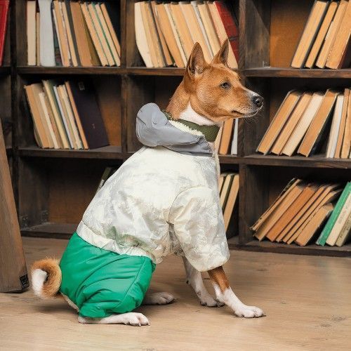 Костюм Pet Fashion Man для собак, размер L, зеленый PR242756 фото