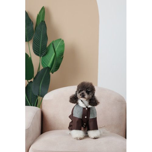 Костюм Pet Fashion Locky S для собак PR243785 фото