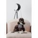 Костюм Pet Fashion Locky S для собак PR243785 фото 5