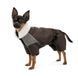 Костюм Pet Fashion Locky S для собак PR243785 фото 2
