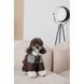 Костюм Pet Fashion Locky S для собак PR243785 фото 7
