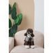 Костюм Pet Fashion Locky S для собак PR243785 фото 6