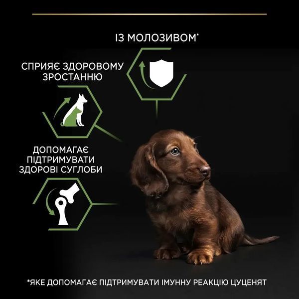 Сухий корм PRO PLAN Small & Mini Puppy 