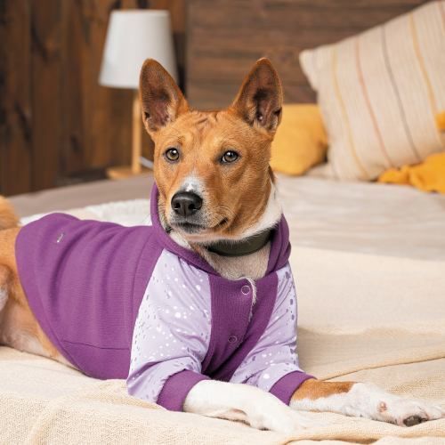 Толстовка Pet Fashion &laquo;Lilac&raquo; для девочек, размер M, сиреневая (лимитированная серия) PR242774 фото