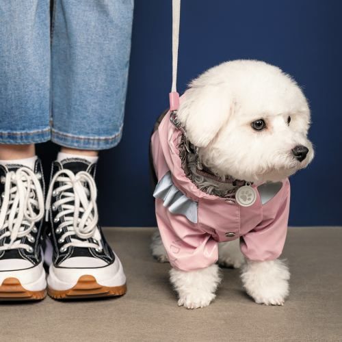 Дощовик Pet Fashion Ariel для собак M PR242988 фото
