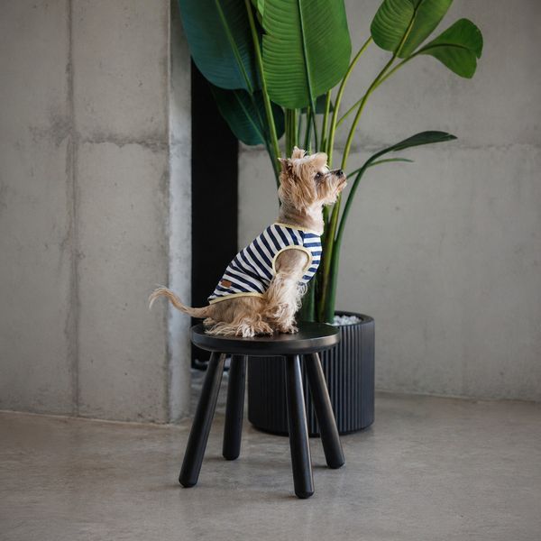 Майка Pet Fashion Tropic для собак PR244571 фото