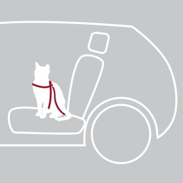 Пояс-шлея безопасности д/котов в авто 20-50см 1294 фото