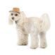 Панама Pet Fashion Ava для собак XS PR440276 фото 2