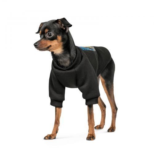 Толстовка Pet Fashion Ukraine для собак, размер M, черная PR243125 фото