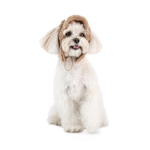 Шапка Valley Pet Fashion для собак, размер ХS бежевая РR442478 фото