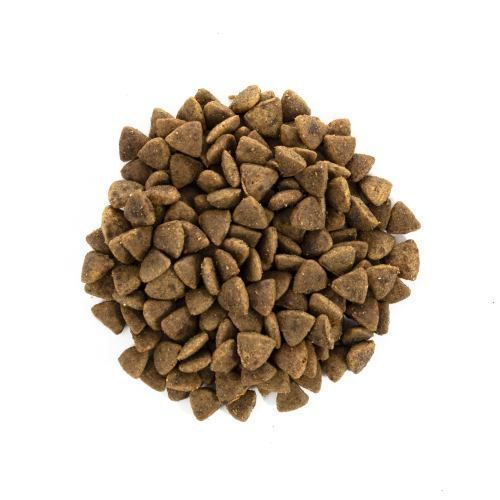 Корм сухий Brit Care Cat Grain Free Adult Activity Support для вуличних та дорослих котів філе індички та курки 400 г 171299 фото