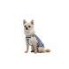 Майка Pet Fashion Tropic для собак PR244577 фото 4
