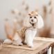 Панама Pet Fashion Ava для собак S PR440283 фото 5