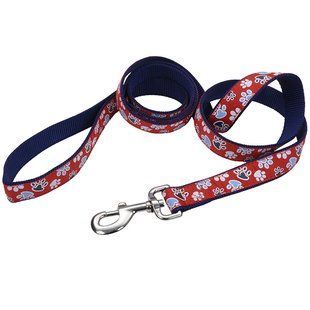Coastal Pet Attire Ribbon КОСТАЛ РІББОН повідець для собак, 2.5смХ1.8м 61976_RWP06 фото