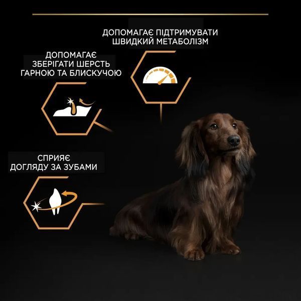 Сухой корм PRO PLAN Small&Mini Adult 1+ Everyday Nutrion для взрослых собак мелких пород, с курицей, 3 кг 7613035114920 фото