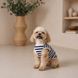 Майка Pet Fashion Tropic для собак XS2 PR244573 фото 6