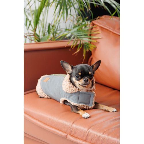 Шлея-жилет Pet Fashion Rob для собак размер XS2 PR243844 фото