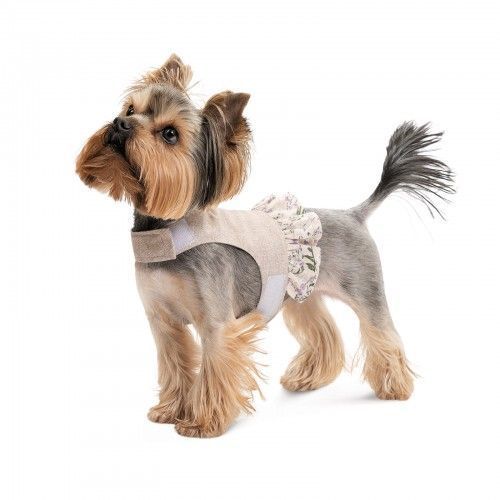Шлея Pet Fashion для дівчинки Nika S PR243445 фото
