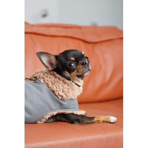 Шлея-жилет Pet Fashion Rob для собак размер XS2 PR243844 фото