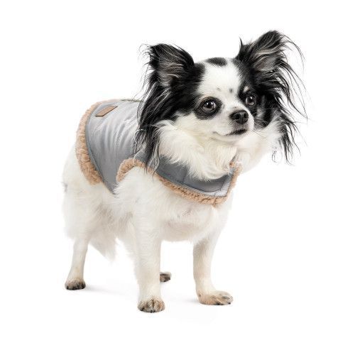 Шлея-жилет Pet Fashion Rob для собак размер XS2 PR243844 фото