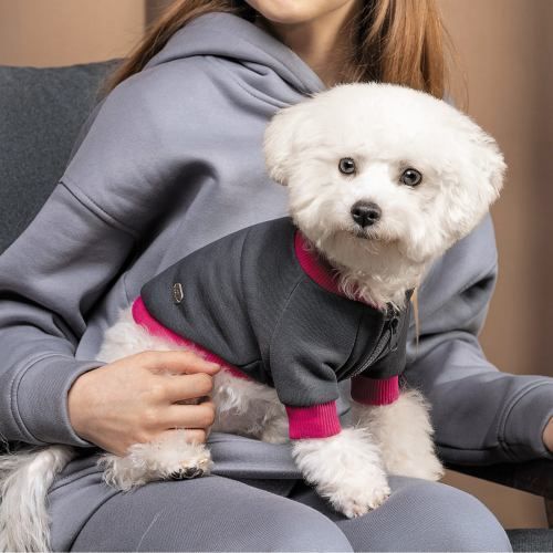 Толстовка Pet Fashion BIM для собак серо-розовая М PR243031 фото