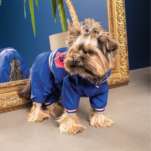 Дощовик Pet Fashion Silver для собак S PR242993 фото