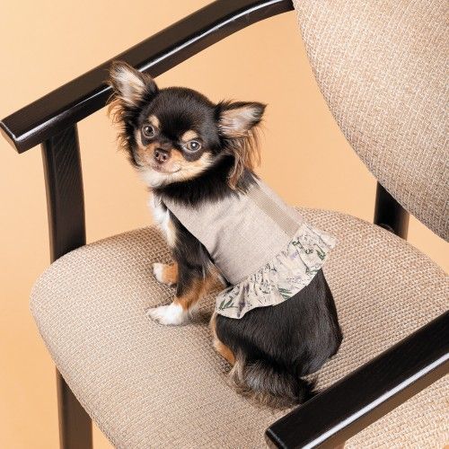 Шлея Pet Fashion для дівчинки Nika S PR243445 фото